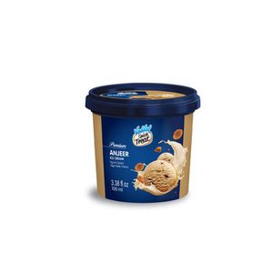 Vadilal Quick Treat Anjeer Ice Cream 100ml