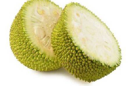Jackfruit