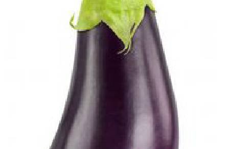 American Eggplants