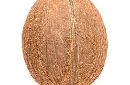 Dry Whole Coconut