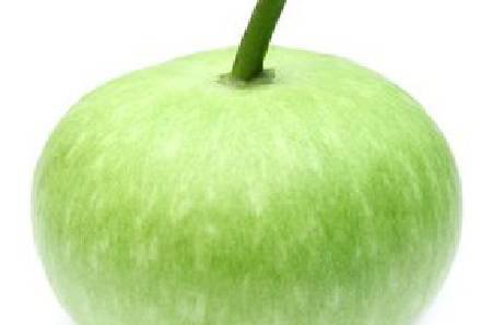 Indian Opo - Dudhi - Lauki - Bottle Gourd