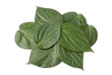 Betel Paan Leaves