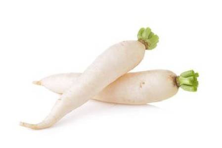 Daikon Radish