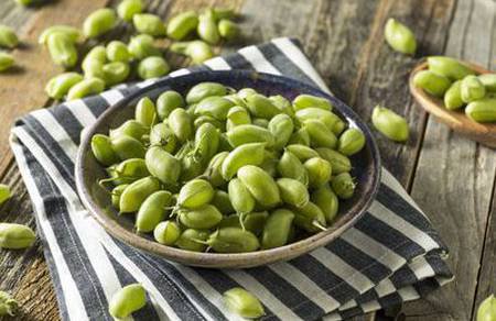 Fresh Garbanzo Beans (Popta/Green Chana)