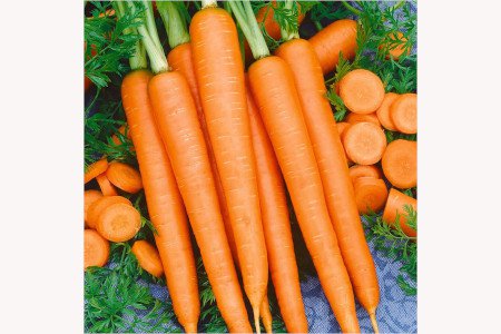 Carrot lb